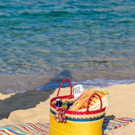 Ξενοδοχείο Anamar Mykonos Natural Retreat 4*