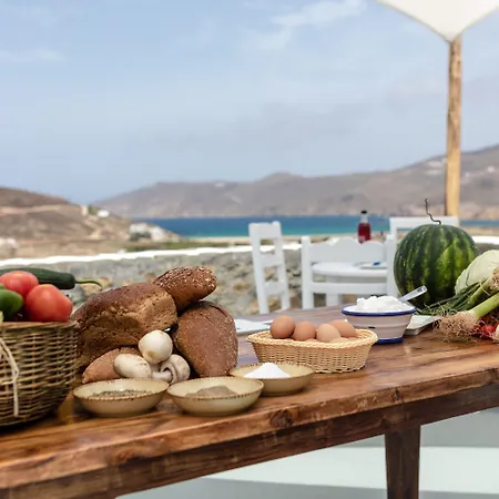 Ξενοδοχείο Anamar Mykonos Natural Retreat Mykonos Town