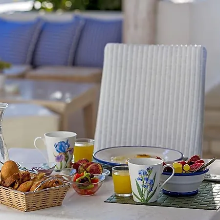 Anamar Mykonos Natural Retreat فندق